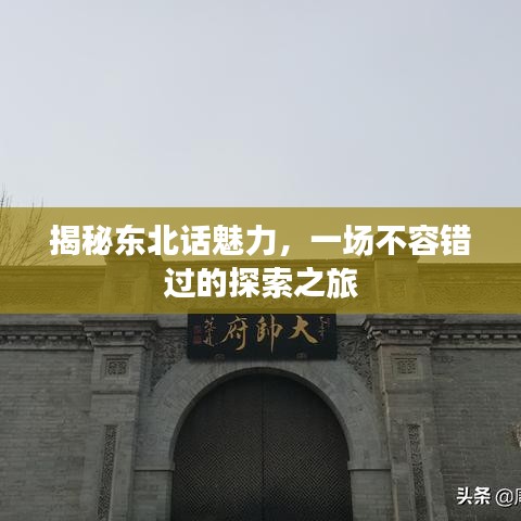 揭秘东北话魅力，一场不容错过的探索之旅