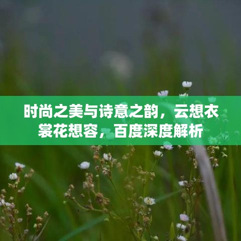 时尚之美与诗意之韵，云想衣裳花想容，百度深度解析