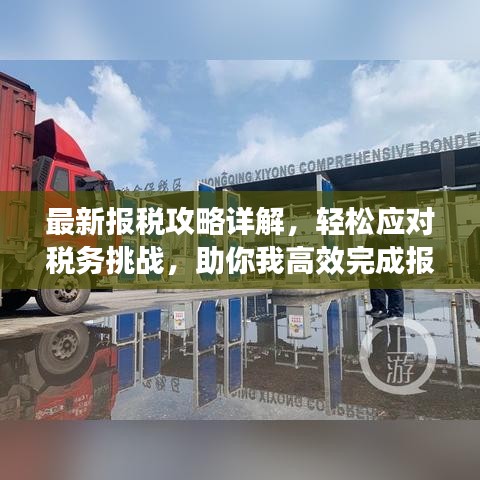 最新报税攻略详解，轻松应对税务挑战，助你我高效完成报税任务！