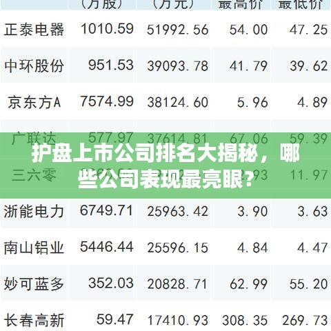 护盘上市公司排名大揭秘，哪些公司表现最亮眼？