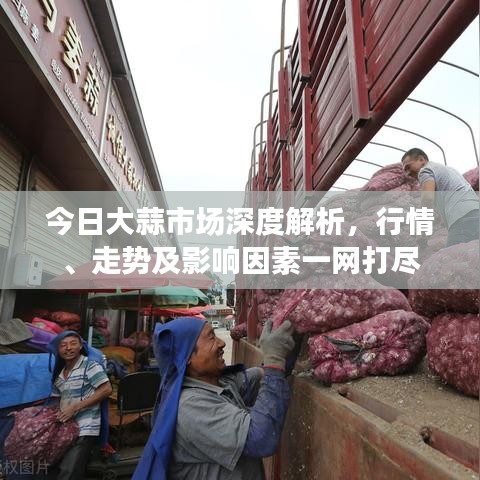 今日大蒜市场深度解析，行情、走势及影响因素一网打尽