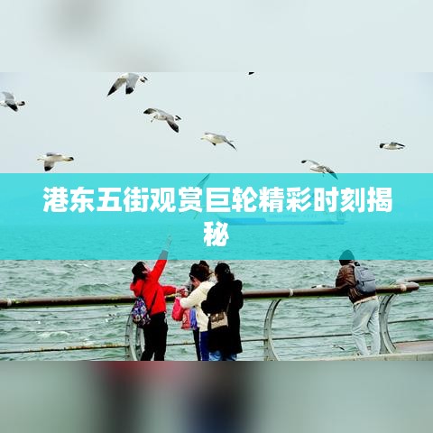 港东五街观赏巨轮精彩时刻揭秘