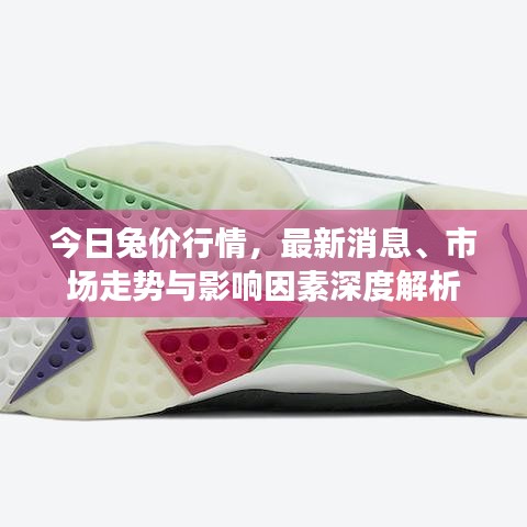 今日兔价行情，最新消息、市场走势与影响因素深度解析