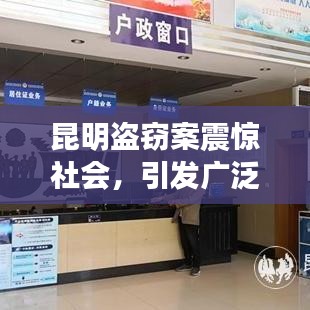 昆明盗窃案震惊社会，引发广泛关注热议