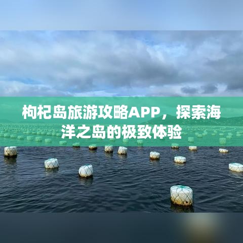 枸杞岛旅游攻略APP，探索海洋之岛的极致体验
