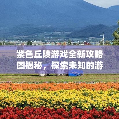 紫色丘陵游戏全新攻略图揭秘，探索未知的游戏世界之旅
