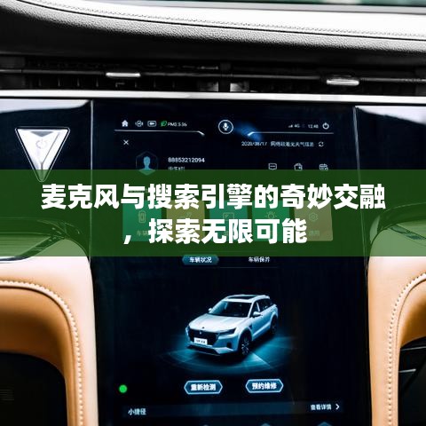 麦克风与搜索引擎的奇妙交融，探索无限可能