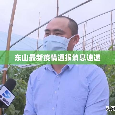 东山最新疫情通报消息速递