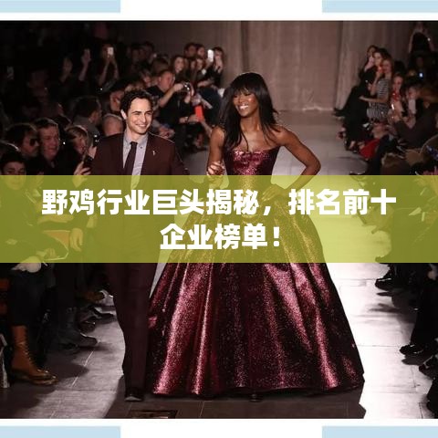 野鸡行业巨头揭秘,排名前十企业榜单!