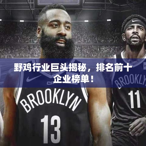 野鸡行业巨头揭秘,排名前十企业榜单!