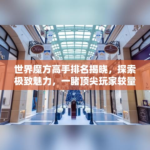 世界魔方高手排名揭晓,探索极致魅力,一睹顶尖玩家较量风采
