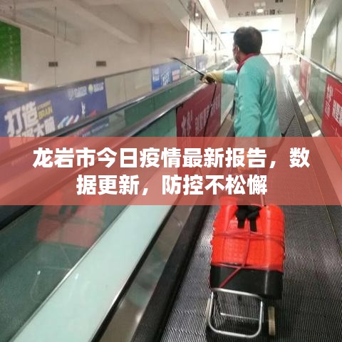 龙岩市今日疫情最新报告，数据更新，防控不松懈