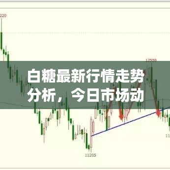 白糖最新行情走势分析，今日市场动态揭秘
