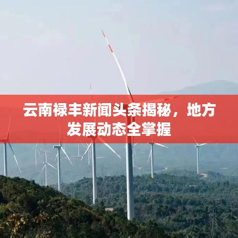 云南禄丰新闻头条揭秘，地方发展动态全掌握