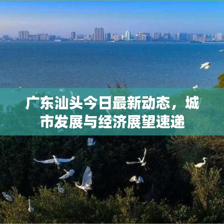 广东汕头今日最新动态，城市发展与经济展望速递