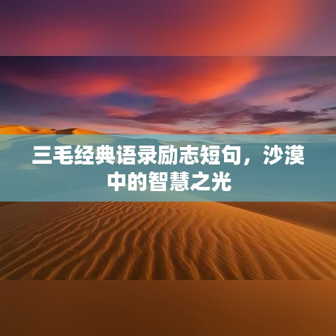 三毛经典语录励志短句，沙漠中的智慧之光