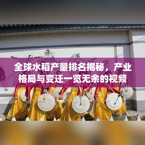 全球水稻产量排名揭秘，产业格局与变迁一览无余的视频