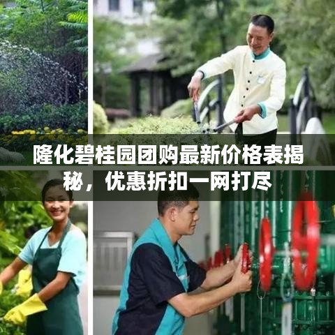 隆化碧桂园团购最新价格表揭秘，优惠折扣一网打尽