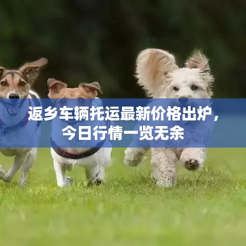 返乡车辆托运最新价格出炉，今日行情一览无余