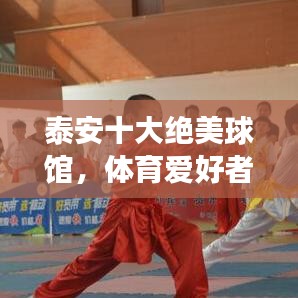 泰安十大绝美球馆，体育爱好者的必去胜地