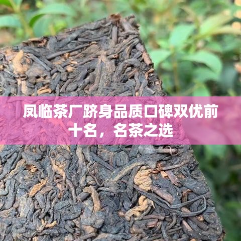 凤临茶厂跻身品质口碑双优前十名，名茶之选