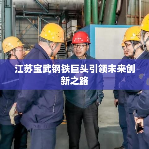江苏宝武钢铁巨头引领未来创新之路