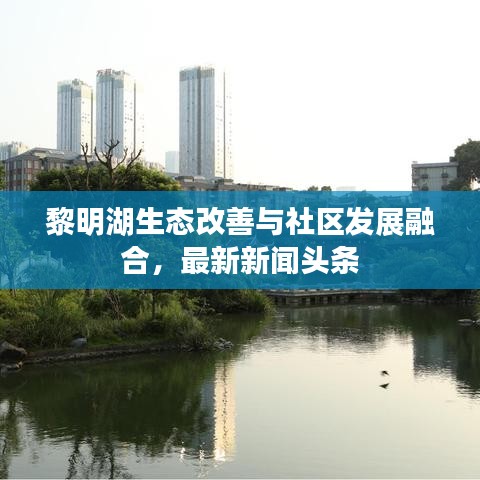 黎明湖生态改善与社区发展融合,最新新闻头条