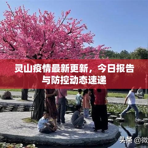 灵山疫情最新更新，今日报告与防控动态速递