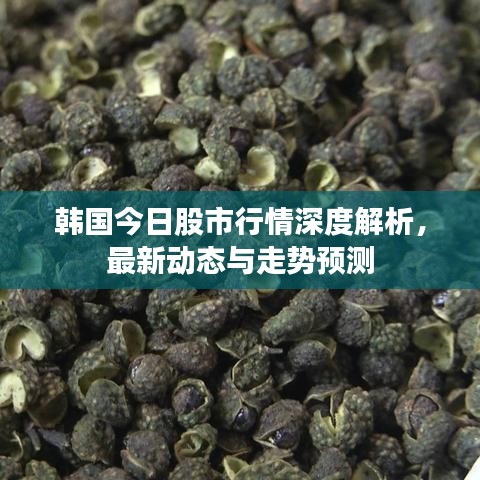 韩国今日股市行情深度解析，最新动态与走势预测