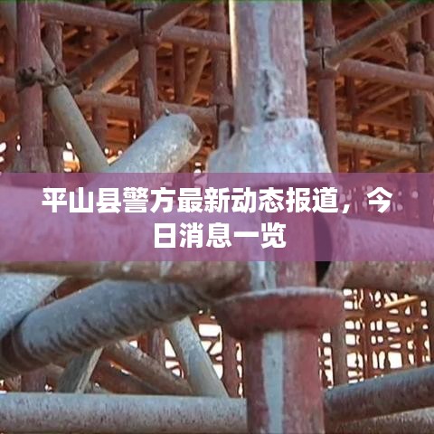 平山县警方最新动态报道，今日消息一览