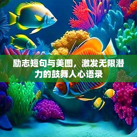励志短句与美图,激发无限潜力的鼓舞人心语录