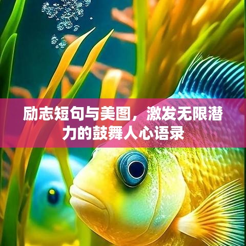 励志短句与美图,激发无限潜力的鼓舞人心语录