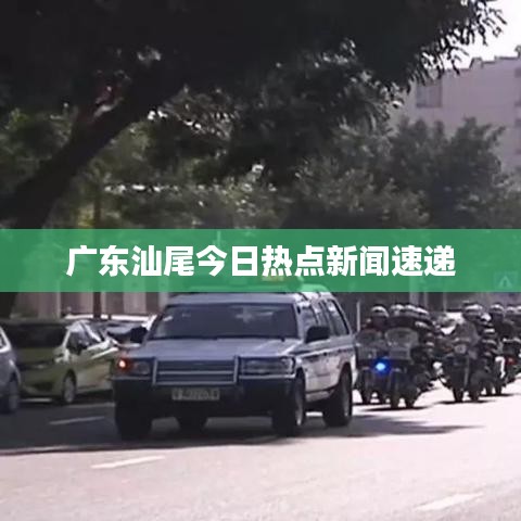 广东汕尾今日热点新闻速递