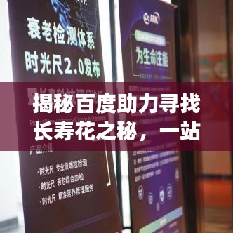 揭秘百度助力寻找长寿花之秘，一站式搜索指南助你轻松探知长寿花奥秘！