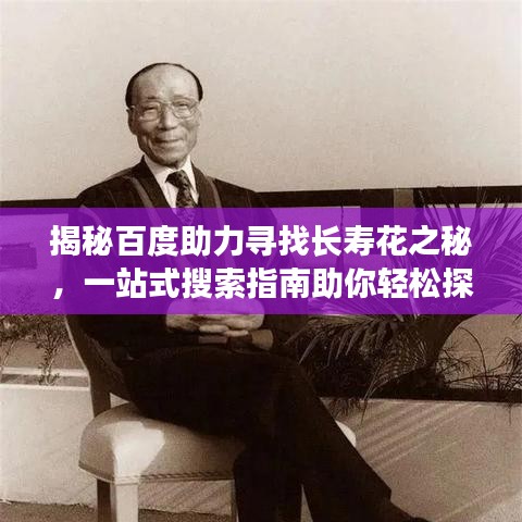 揭秘百度助力寻找长寿花之秘,一站式搜索指南助你轻松探知长寿花奥秘!