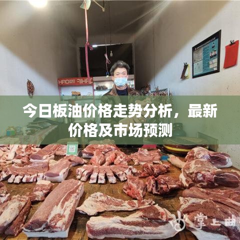 今日板油价格走势分析，最新价格及市场预测