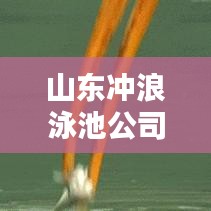 山东冲浪泳池公司排名大揭秘，行业领军者一览无余！