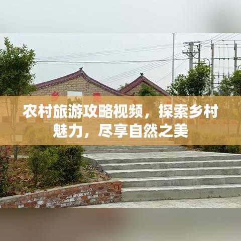 农村旅游攻略视频，探索乡村魅力，尽享自然之美