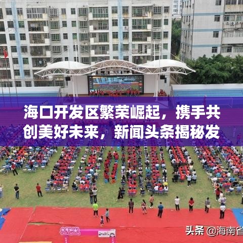 海口开发区繁荣崛起，携手共创美好未来，新闻头条揭秘发展之路