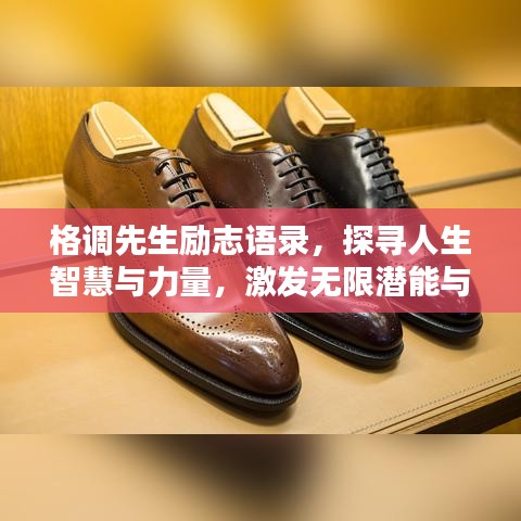 格调先生励志语录，探寻人生智慧与力量，激发无限潜能与斗志