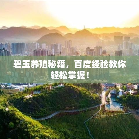 碧玉养殖秘籍，百度经验教你轻松掌握！