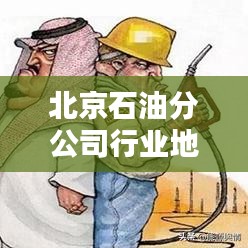 北京石油分公司行业地位深度解析