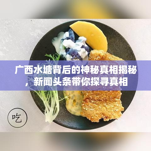 广西水塘背后的神秘真相揭秘，新闻头条带你探寻真相