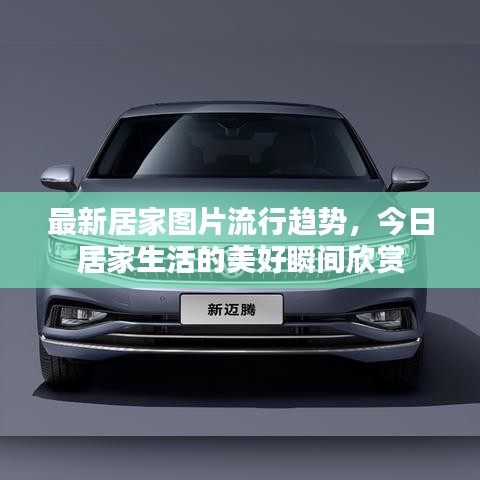 最新居家图片流行趋势，今日居家生活的美好瞬间欣赏