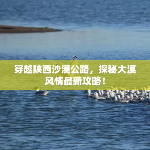 穿越陕西沙漠公路，探秘大漠风情最新攻略！