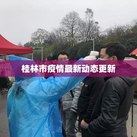 桂林市疫情最新动态更新