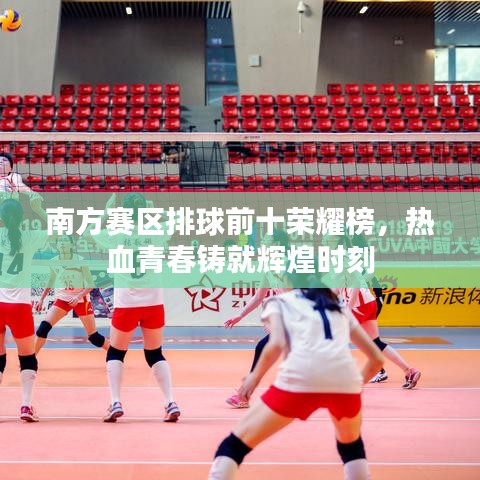 南方赛区排球前十荣耀榜，热血青春铸就辉煌时刻