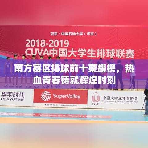 南方赛区排球前十荣耀榜,热血青春铸就辉煌时刻