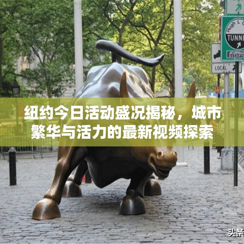 纽约今日活动盛况揭秘,城市繁华与活力的最新视频探索