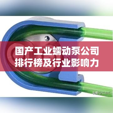国产工业蠕动泵公司排行榜及行业影响力深度解析